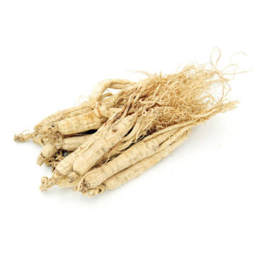 Hochwertiger Ginseng Radix Et Rhizoma